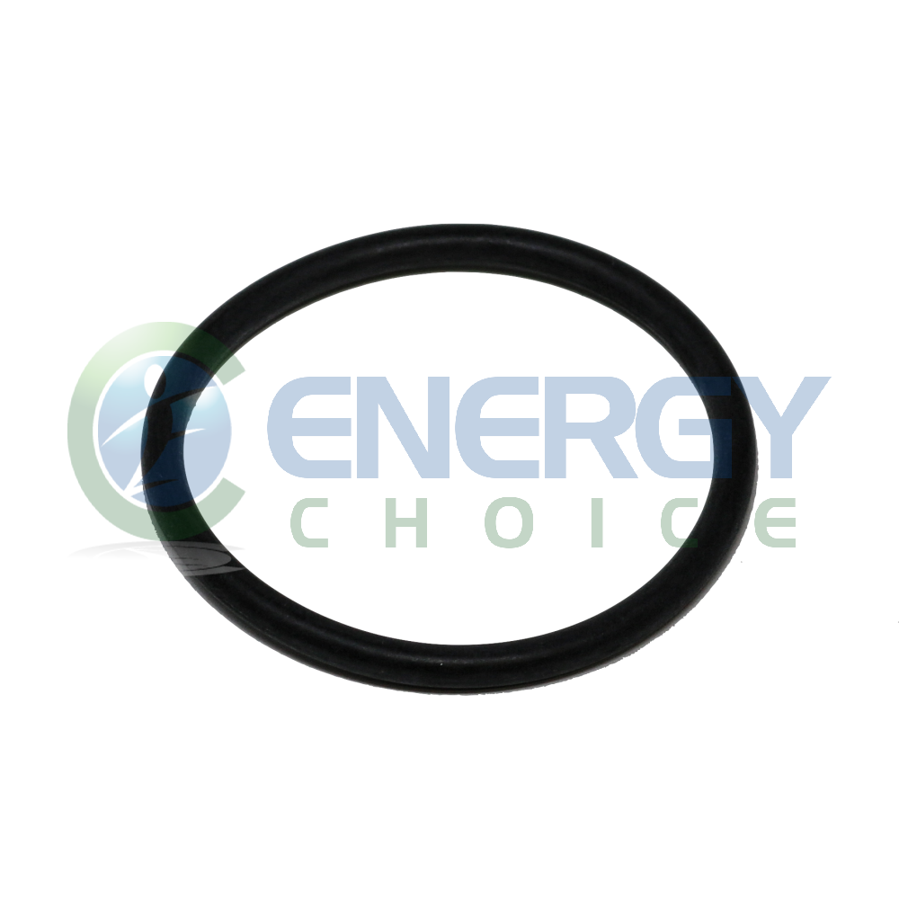 O-Ring, Jenbacher, 105812